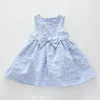 Baby Blue Dress