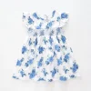 Baby Girls, Blue Rose Dress