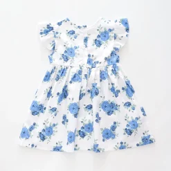 Baby Girls, Blue Rose Dress