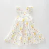 Baby Girls, Buzzy Meadows Dress