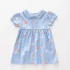 Baby Girls, Spring Fields Dress