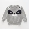 Baby Racoon True Knit Jumper