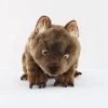 Banjo Wombat, Large Plush Toy