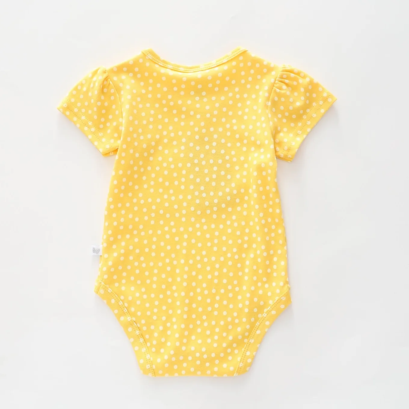 Best Baby Sister Bodysuit