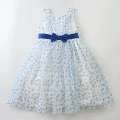 Blue Heart Print Tulle Dress