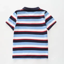 Blue Stripe Polo Tee