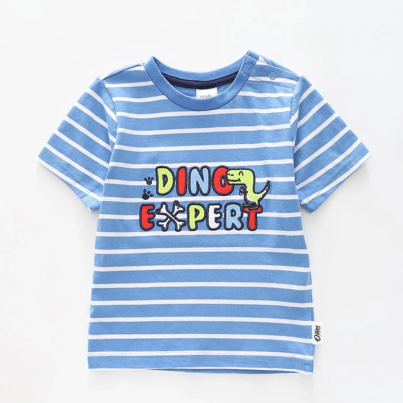 Boys Dino Expert Tee