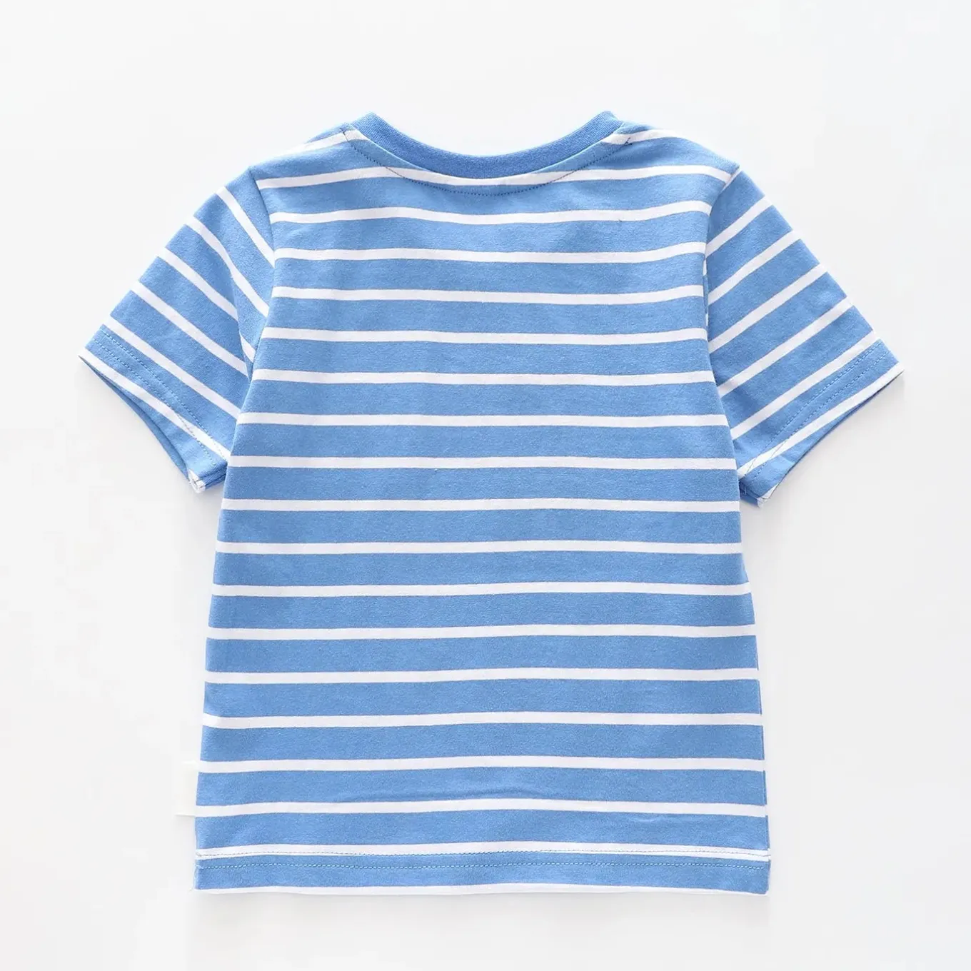 Boys Dino Expert Tee