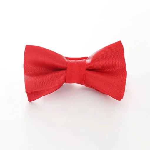 Boys' Formal Bowtie - Bright Red