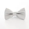 Boys' Formal Bowtie - Silver