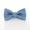 Boys' Formal Bowtie - Wedgewood Blue