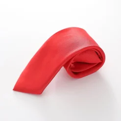Boys' Formal Neck Tie - Bright Red
