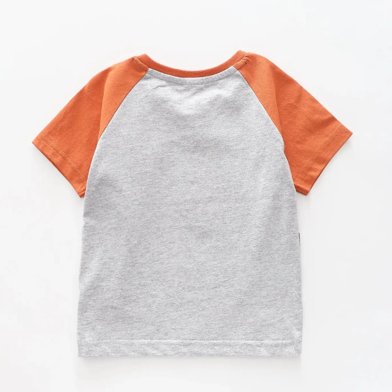 Boys Graphic T-shirt - Into The Wild, Tiger