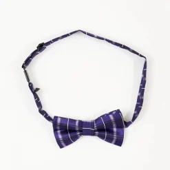 Boys Purple Plaid Bow Tie