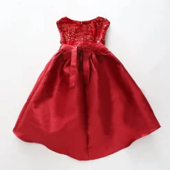 Burgundy Sequin Dress