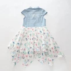 Denim Butterfly Dress