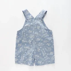 Dino Chambray Short Overalls