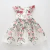 Enchanted Garden Dress