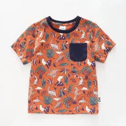 Infant and Toddler Boys Dino Tee