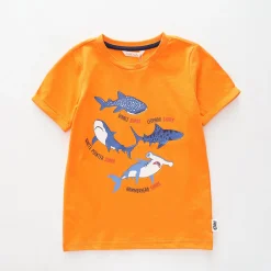 Junior Boys Sharks Tee