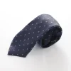 Patterned Necktie - Blue and Silver