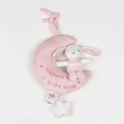 Pink Bunny Musical Toy