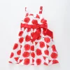 Pretty Poppy Sundress