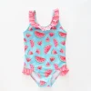 Watermelon One Piece Swimsuit